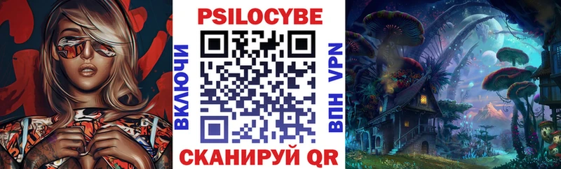 Псилоцибиновые грибы Magic Shrooms  купить закладку  Шилка 